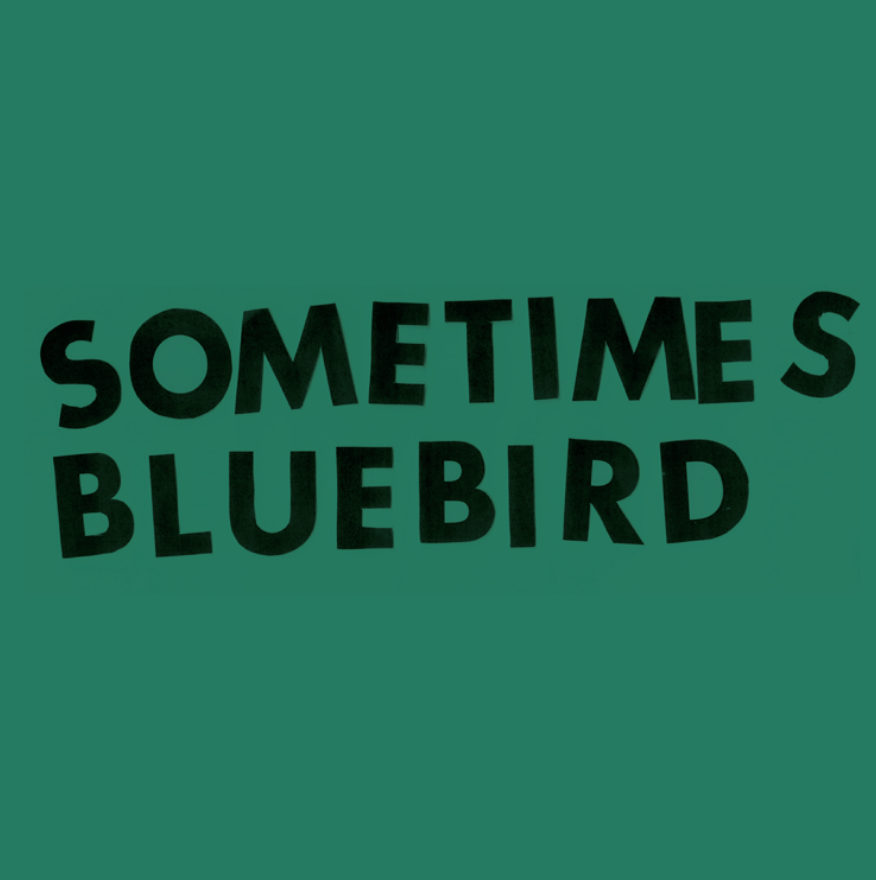 Read more about the article Sometimes Bluebird