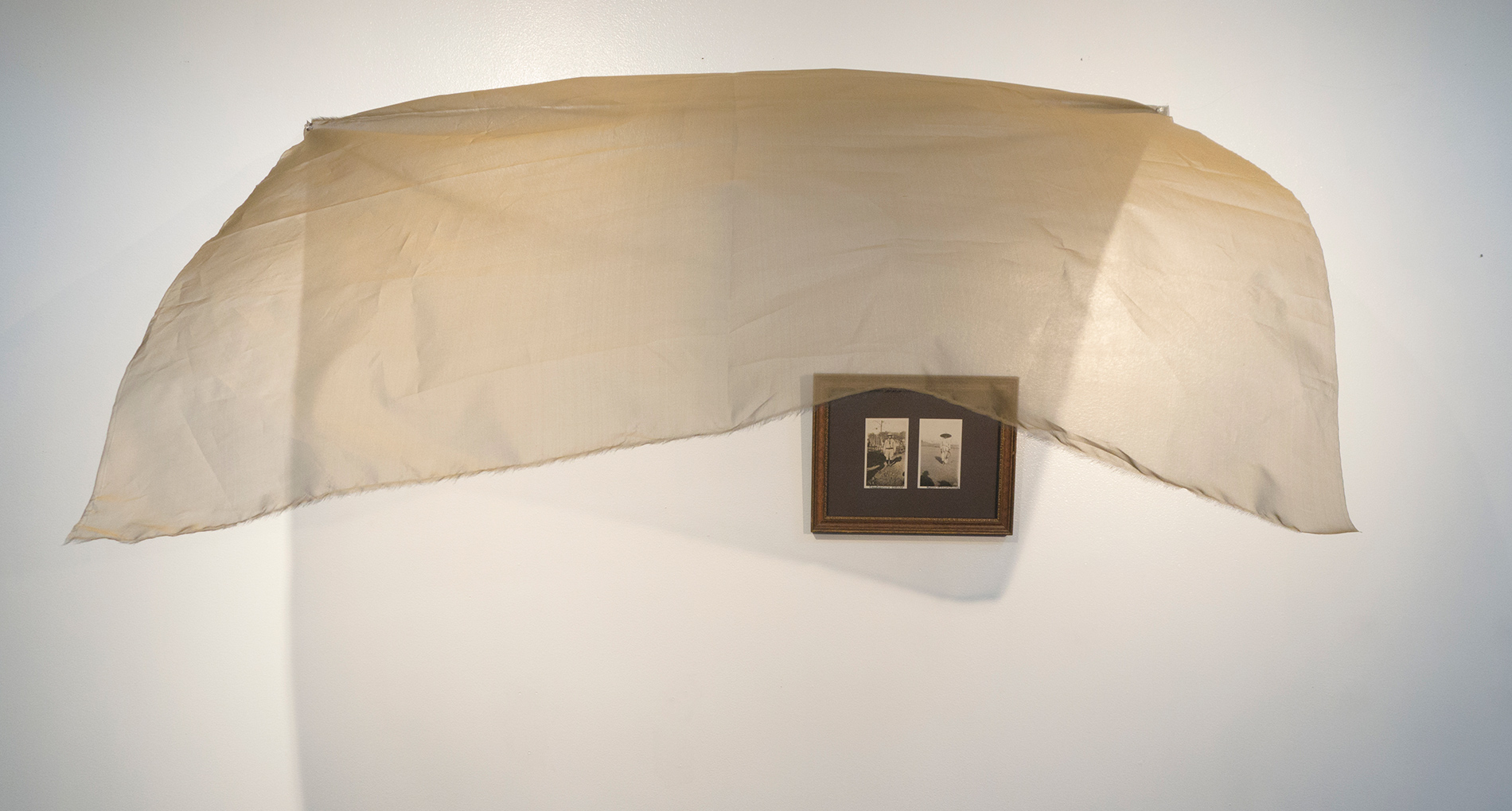 Read more about the article New Program Studies Race Through Art