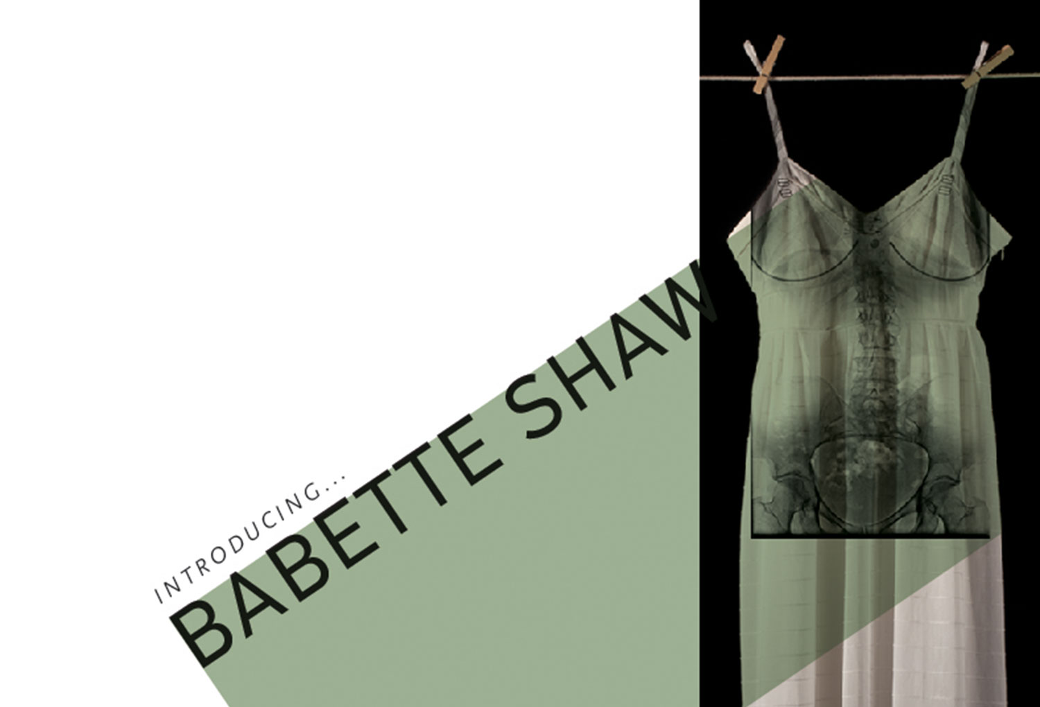 Read more about the article Visiting Artist and Scholar Exhibits and Talks About Social Art Pieces