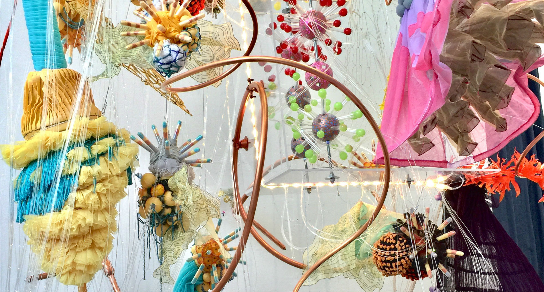 Read more about the article MFA Candidate Explores Scientific Interests Through Art