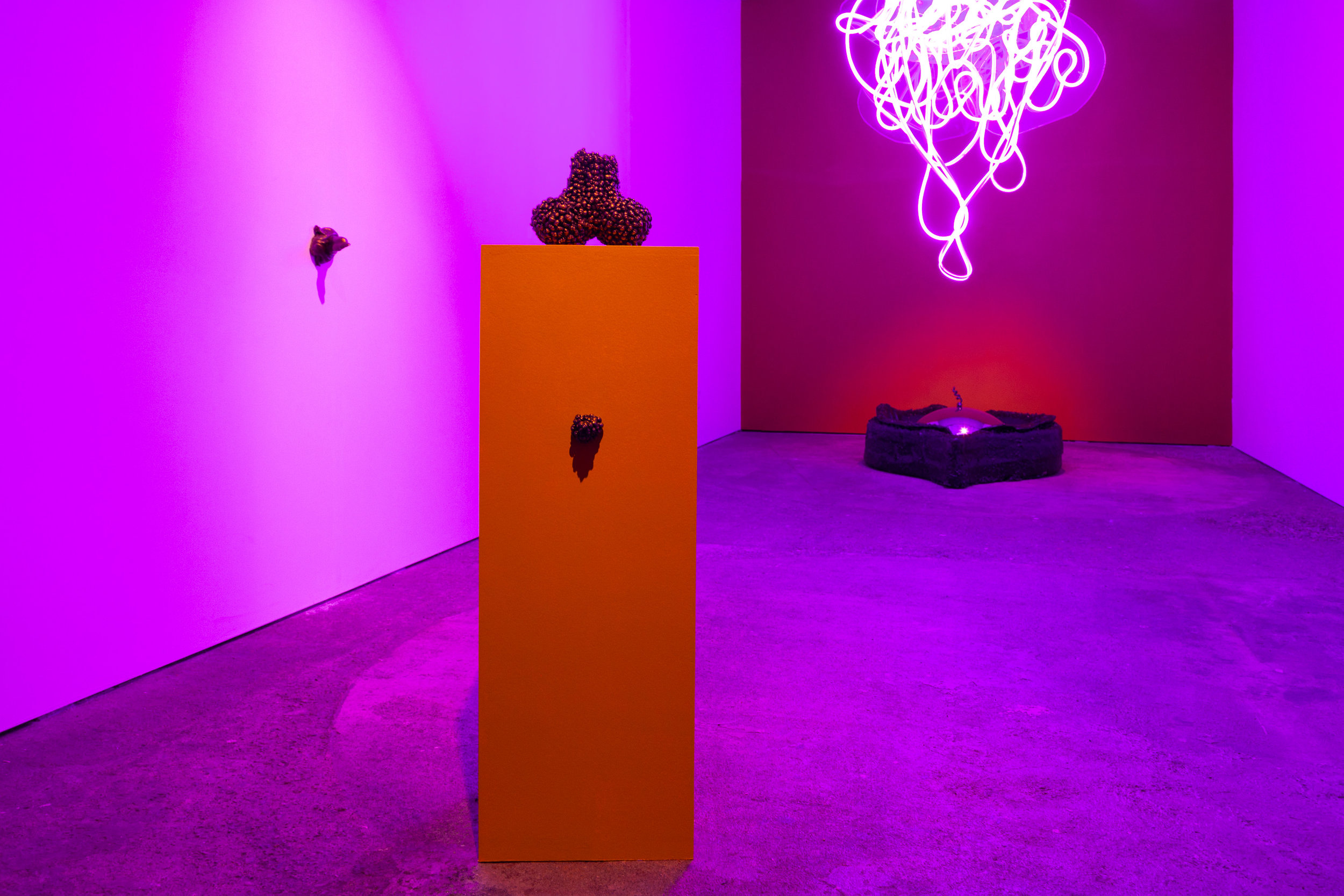 Read more about the article Young Joon Kwak Chosen as 2020-2021 Critical Race Studies Artist-in-Residence