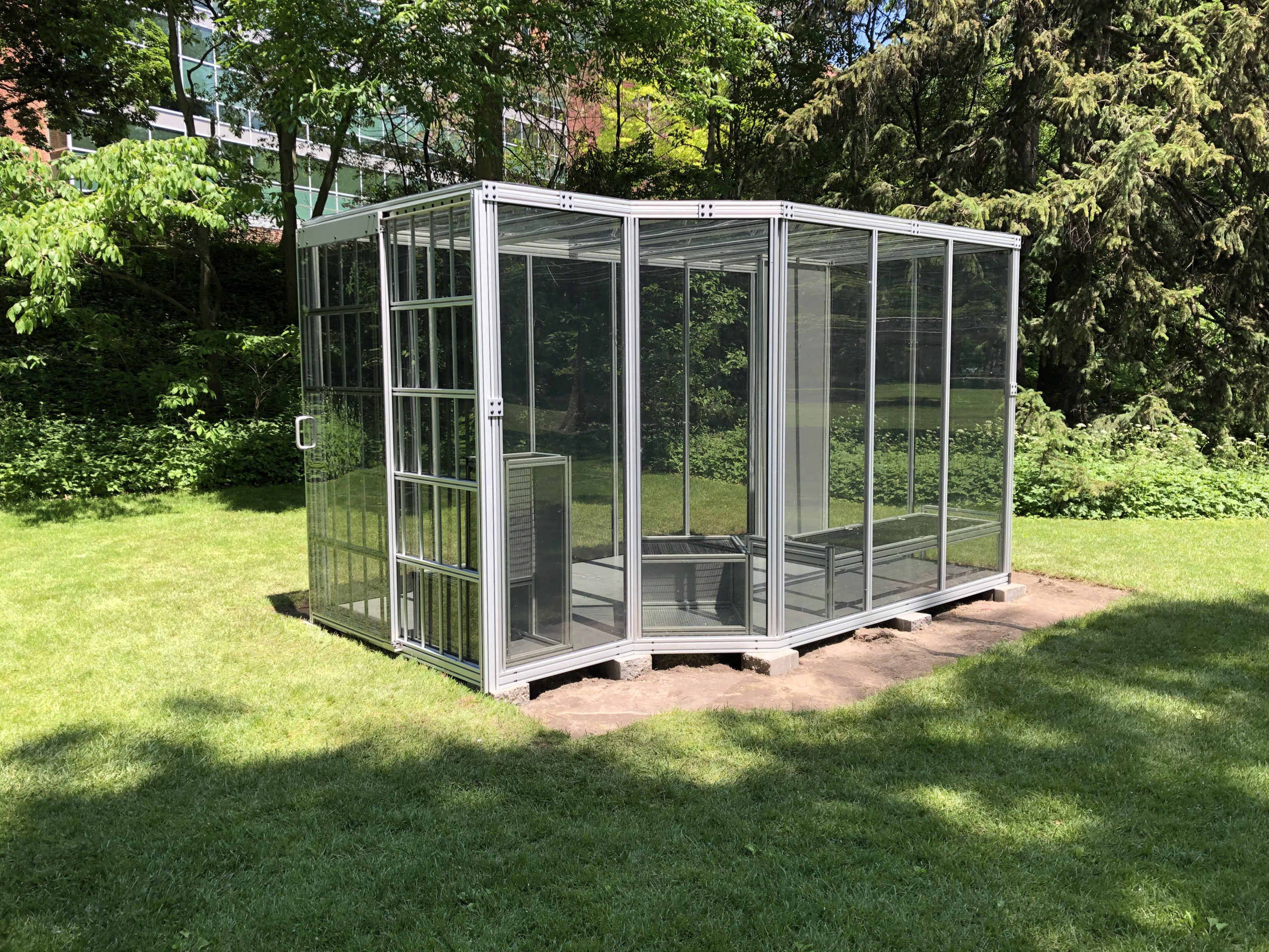 Read more about the article A Solitary Greenhouse