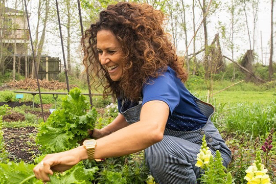 Read more about the article Project by Critical Race Studies Artist-in-Residence Unveiled in Beal Botanical Garden