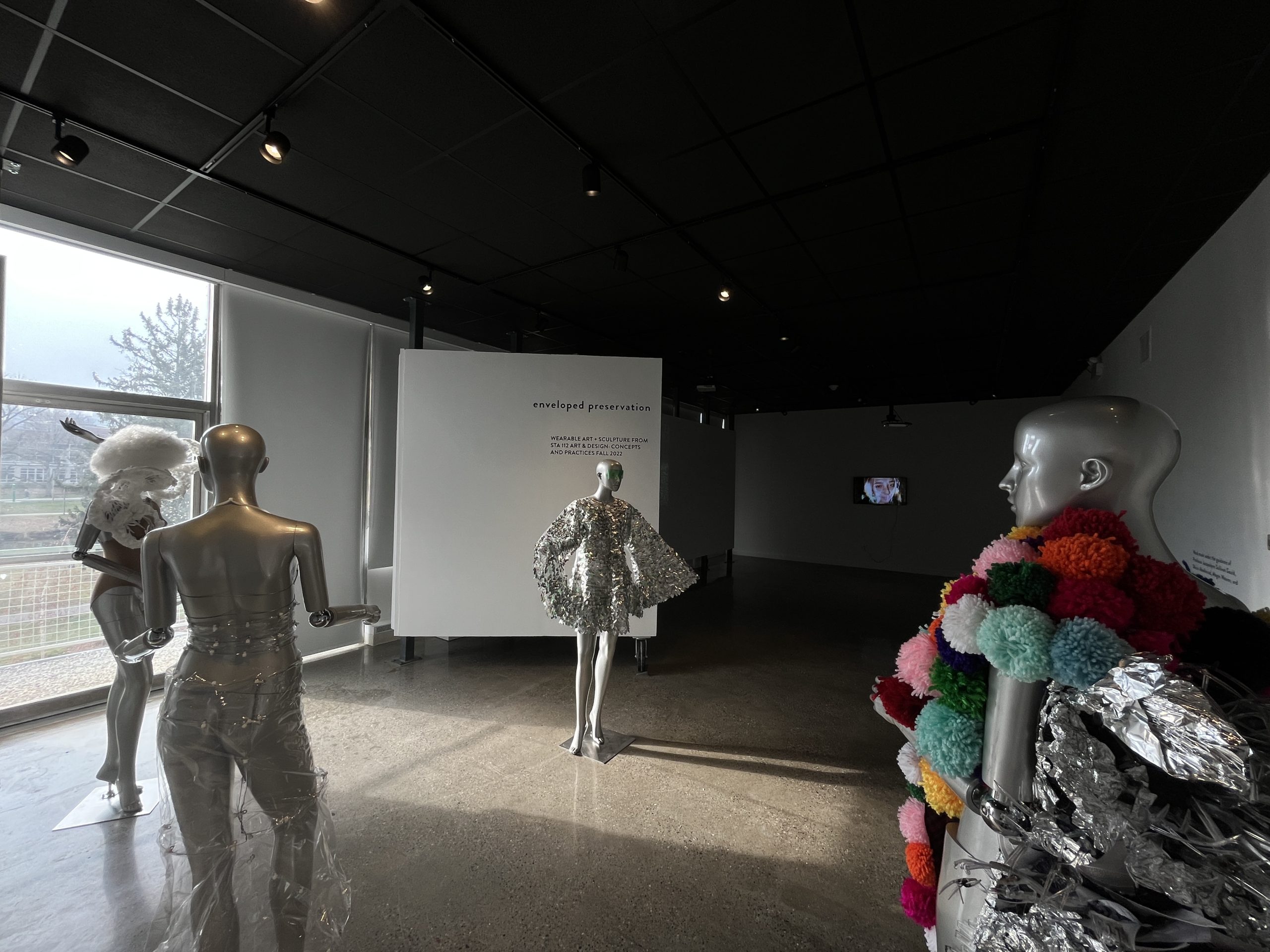 Read more about the article enveloped preservation