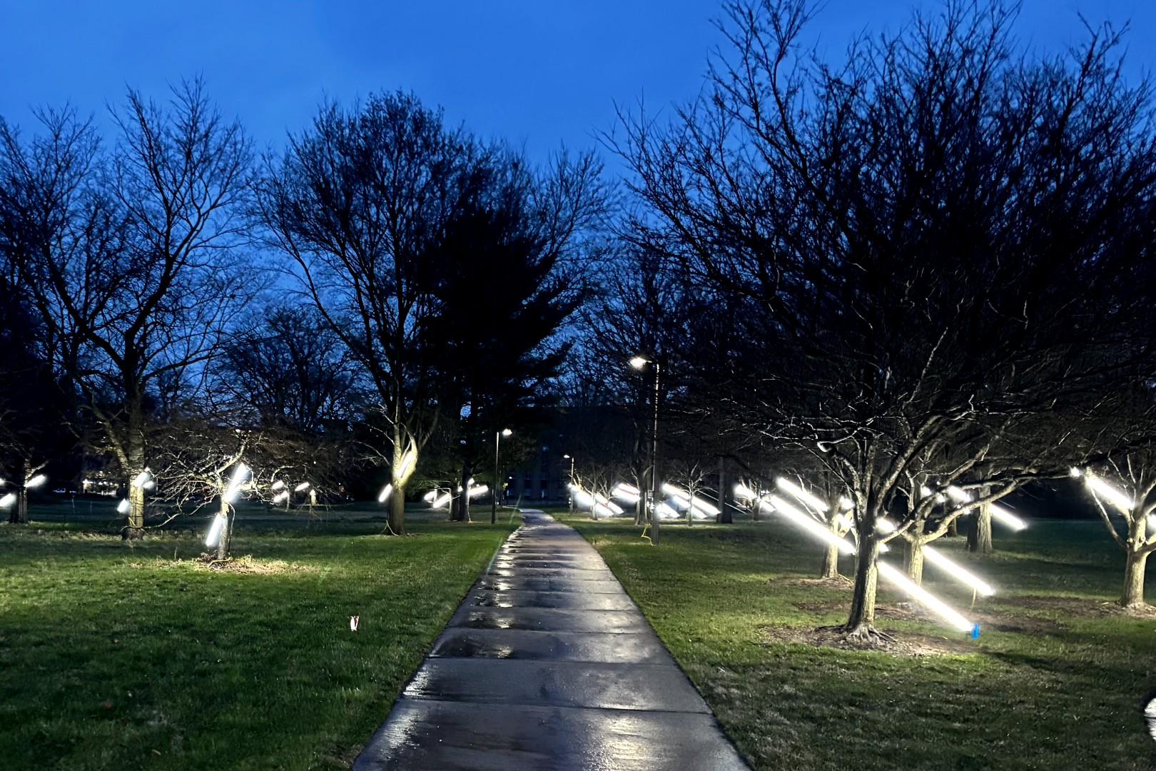 Read more about the article Graduate Student Pursues First-of-Its-Kind Dual Program While Using Art to Explore Ecological Loss