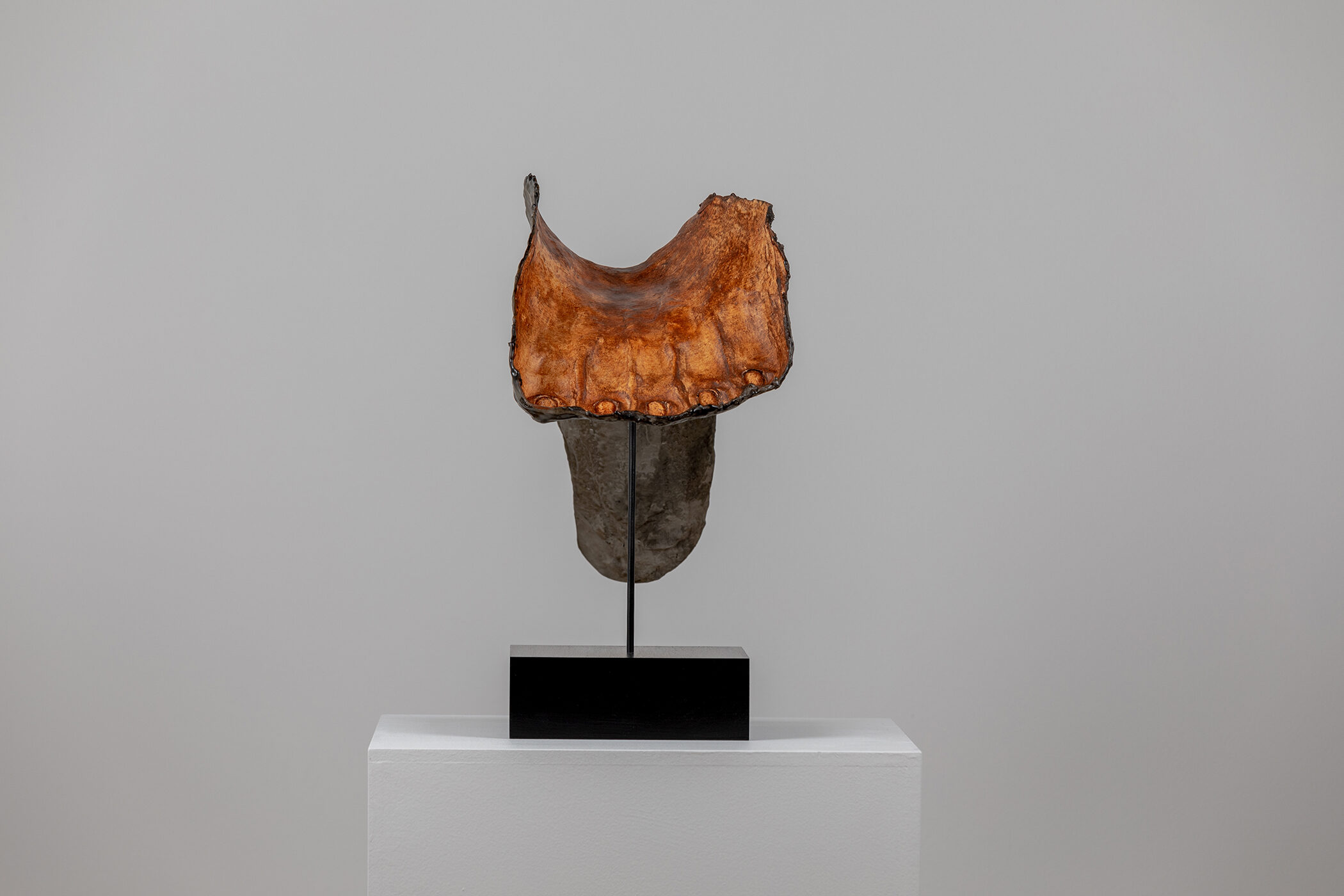 Spartan Skin (Left Foot with Penies); Cold-cast nickel silver, pigmented resin, acrylic paint, pigmented wax medium, steel, dyed walnut; 14” x 20 1⁄2” x 9 1⁄2”; 14” x 20 1⁄2” x 9 1⁄2” (with base)