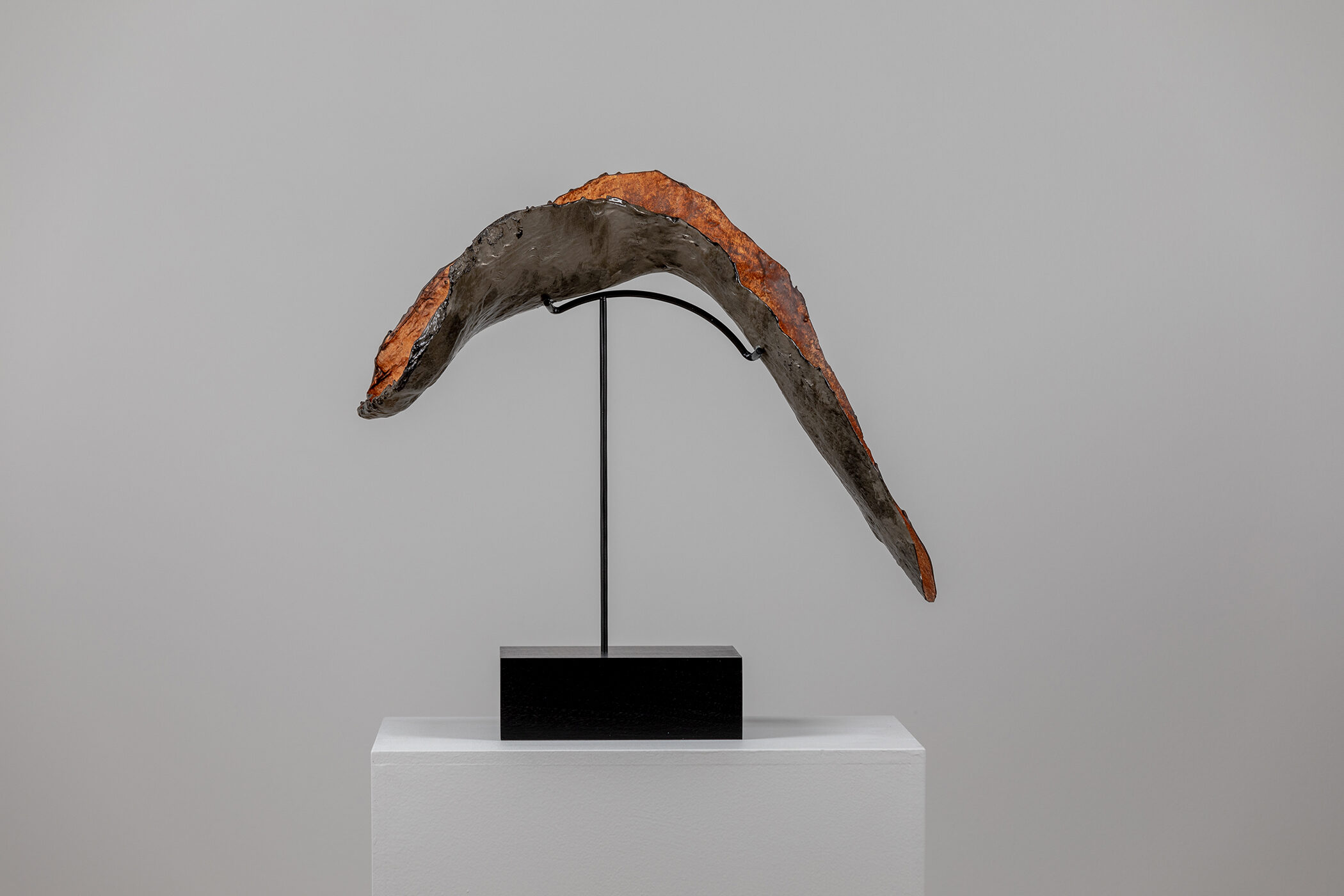 Spartan Skin (Left Foot with Penies); Cold-cast nickel silver, pigmented resin, acrylic paint, pigmented wax medium, steel, dyed walnut; 14” x 20 1⁄2” x 9 1⁄2”; 14” x 20 1⁄2” x 9 1⁄2” (with base)