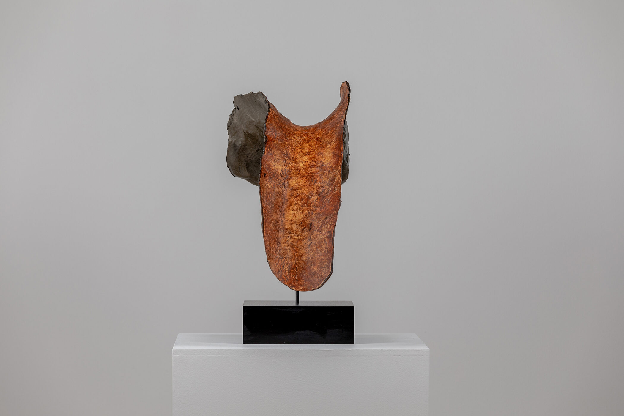 Spartan Skin (Left Foot with Penies); Cold-cast nickel silver, pigmented resin, acrylic paint, pigmented wax medium, steel, dyed walnut; 14” x 20 1⁄2” x 9 1⁄2”; 14” x 20 1⁄2” x 9 1⁄2” (with base)