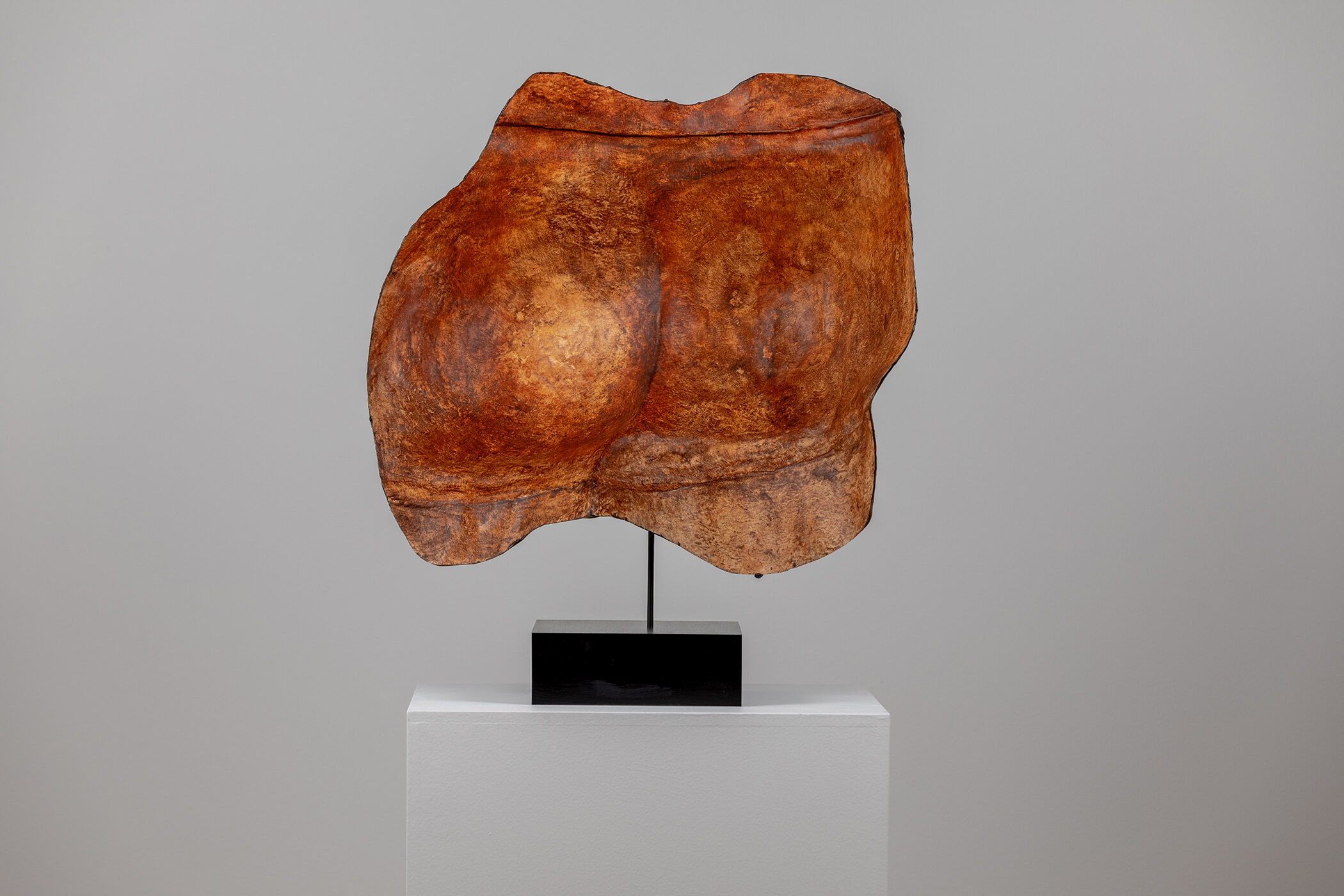 Spartan Skin (Rear); Cold-cast nickel silver, pigmented resin, acrylic paint, pigmented wax medium, steel, dyed walnut; 19 1⁄2” x 21 3⁄4” x 9”; 24 1⁄4” x 21 3⁄4” x 9” (with base)