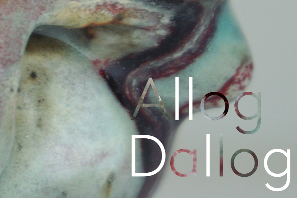 Read more about the article Hermit / Allog Dallog
